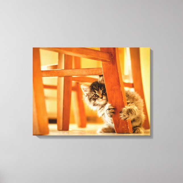 Impressão Em Tela Gatinho Sob Presidência (Frente)