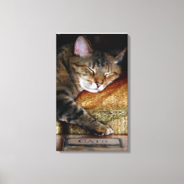 Impressão Em Tela Gatinho Sonolento