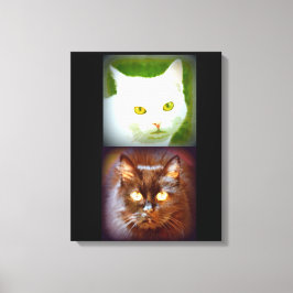 Impressão Em Tela gatinhos brancos/pretos