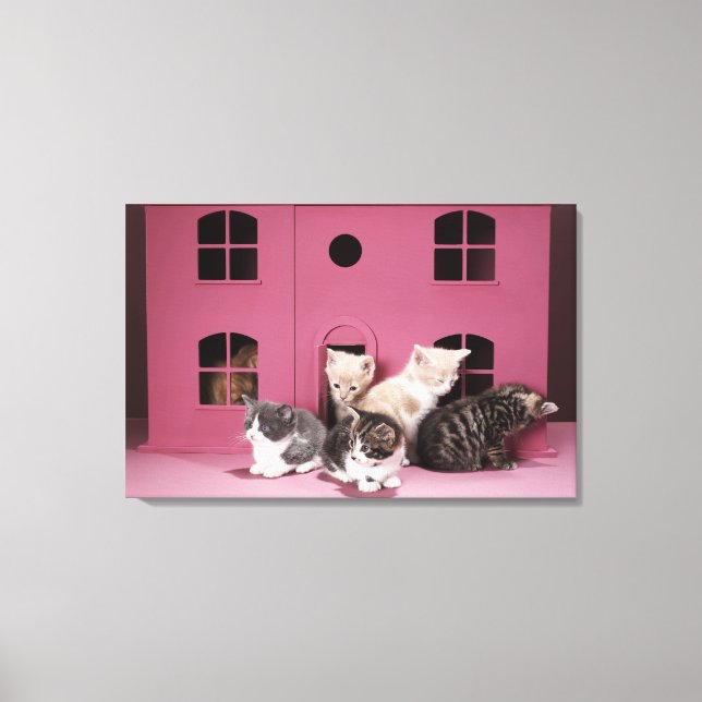 Impressão Em Tela Gatinhos na casa da boneca (Frente)
