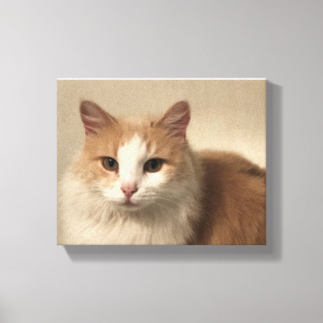 Impressão Em Tela Gato (Frente)