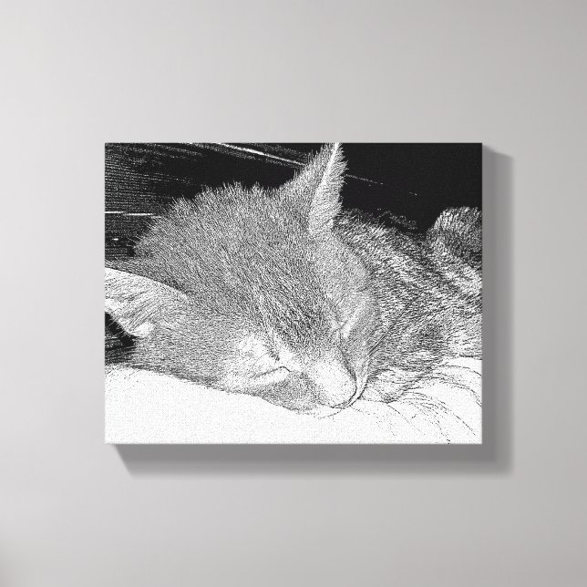 Impressão Em Tela Gato adormecido (Frente)