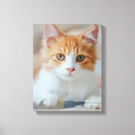 Impressão Em Tela Gato Castanho