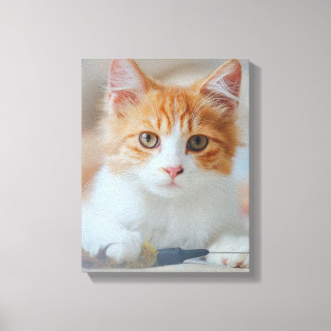 Impressão Em Tela Gato Castanho (Frente)