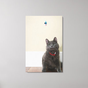 Impressão Em Tela Gato com brinquedo