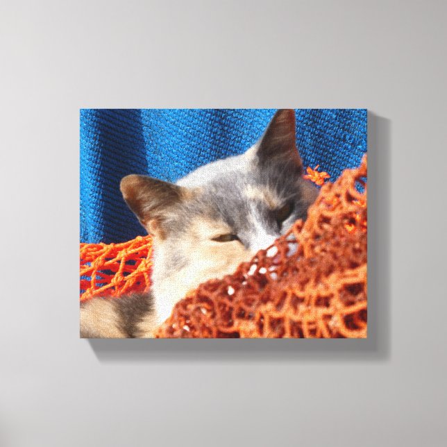 Impressão Em Tela Gato com Rede Náutica Laranja (Frente)