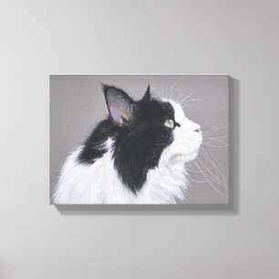 Impressão Em Tela Gato de racum preto e branco de Maine