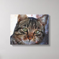 Gato do Espaço