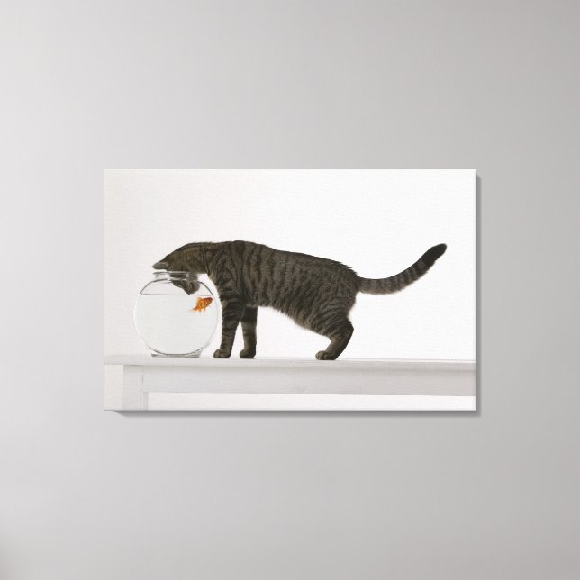 Impressão Em Tela Gato e peixe-dourado (Frente)