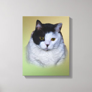 Impressão Em Tela Gato gordo preto e branco