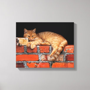 Impressão Em Tela Gato na Parede Brick