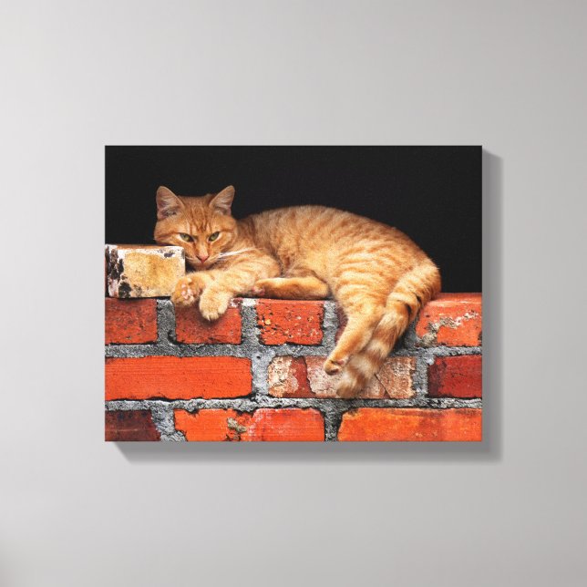 Impressão Em Tela Gato na Parede Brick (Frente)