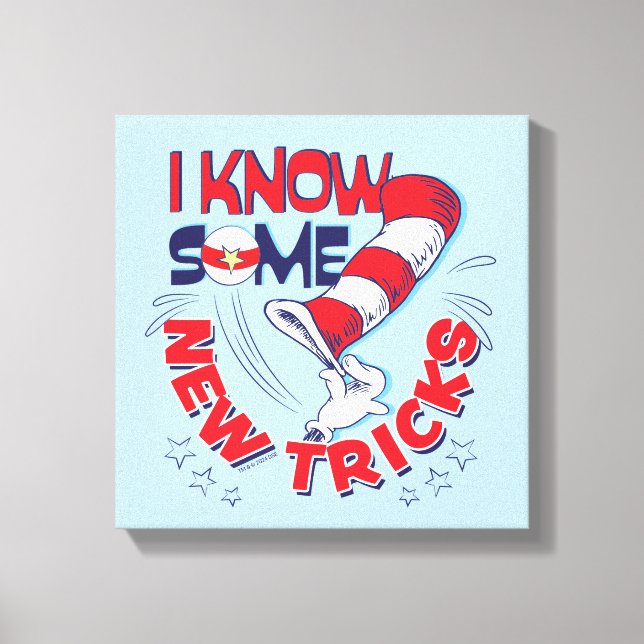 Impressão Em Tela Gato No Chapéu Eu Conheço Alguns Truques Novos (Frente)