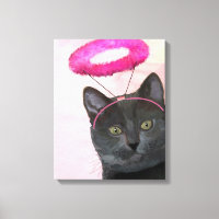 Gato Preto com Anjo Rosa Halo