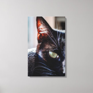 Impressão Em Tela Gato Preto com Olhos Verdes em Tela Enrolada