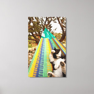 Impressão Em Tela Gato que encontra-se no hammock mexicano maia