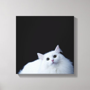 Impressão Em Tela Gato Siberian