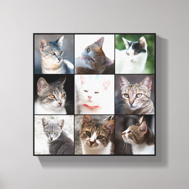 IMPRESSÃO EM TELA GATOS (Frente)