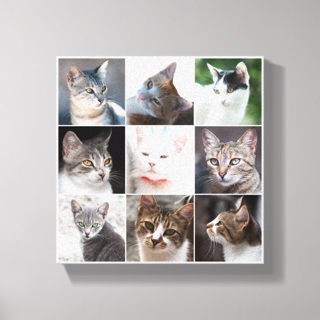 IMPRESSÃO EM TELA GATOS - MODELO (Frente)