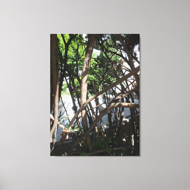 Impressão Em Tela Gaye Elise Beda, Nova Iorque, NYC Gramercy P (Frente)