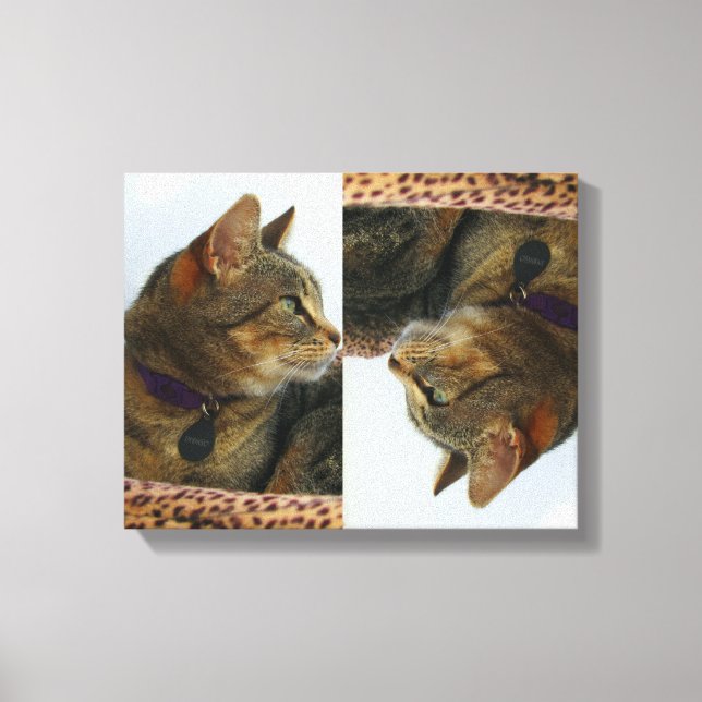 Impressão Em Tela Gazando Indigo (Frente)