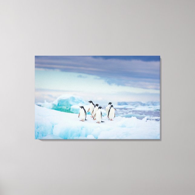 Impressão Em Tela Gelo e neve | Pinguins de adenda Antártica (Frente)
