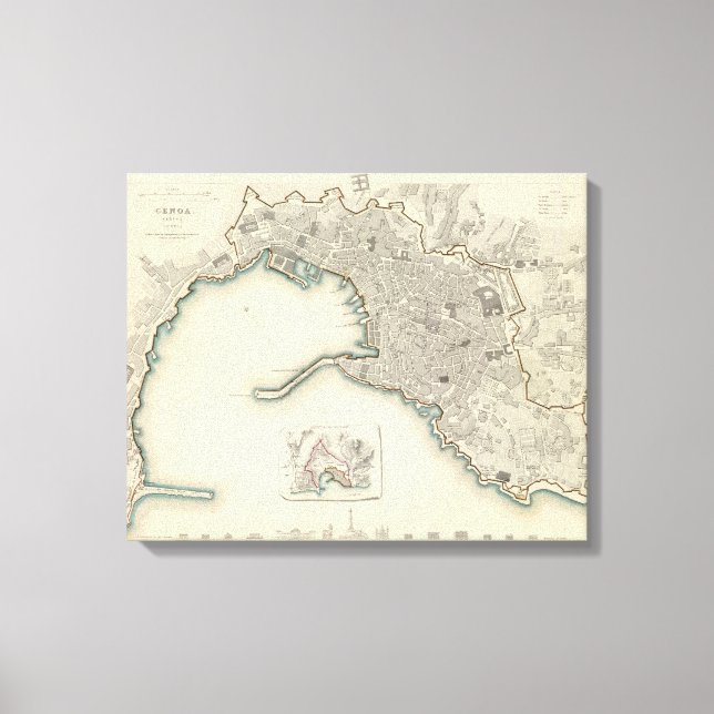 Impressão Em Tela Genova Genova Genes (Frente)