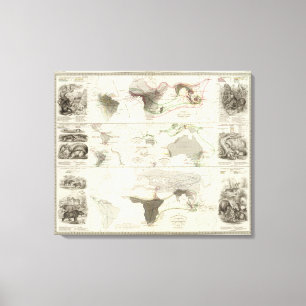 Impressão Em Tela Geografia zoológico