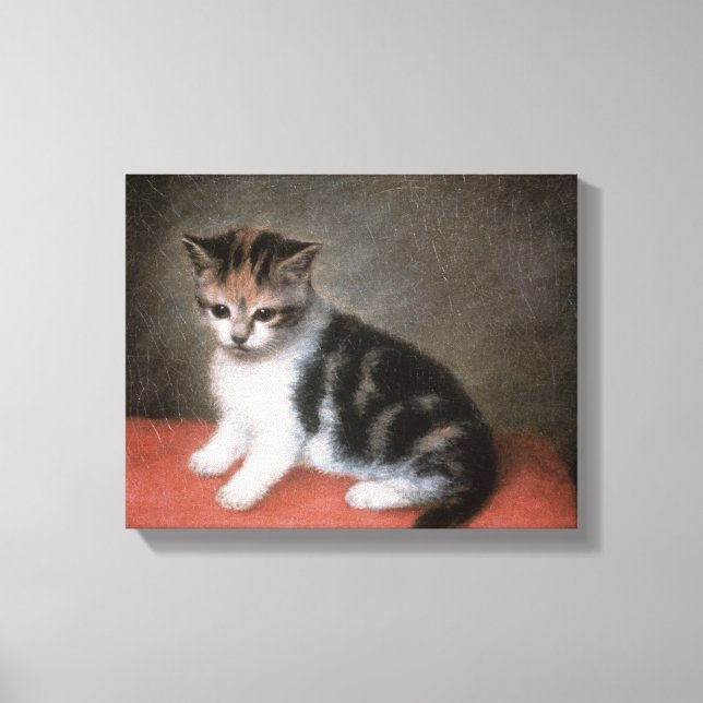 Impressão Em Tela George Stubbs | O Kitten de Ann White, 1790 (Frente)
