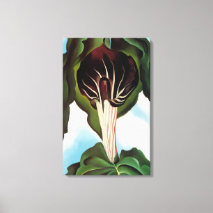 Impressão Em Tela Georgia O'Keeffe - Jack in the Pulpit III