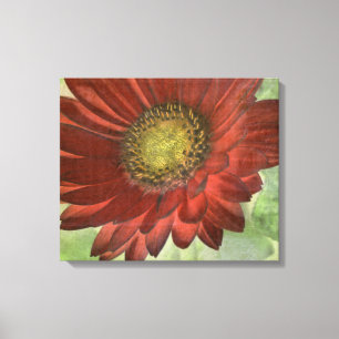 Impressão Em Tela Gerbera vermelho
