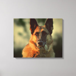 Impressão Em Tela German shepherd