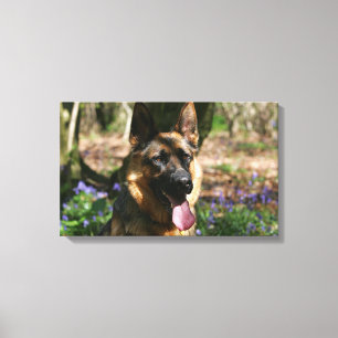 Impressão Em Tela German shepherd