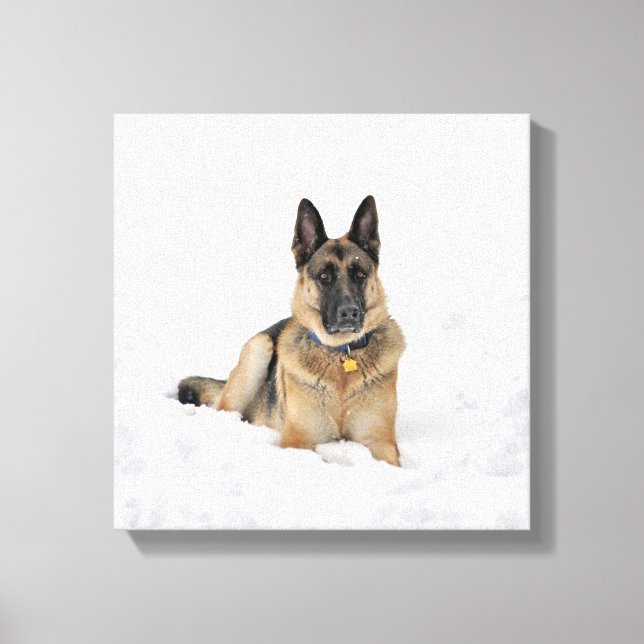 Impressão Em Tela German shepherd Cão na Tela de Neve (Frente)