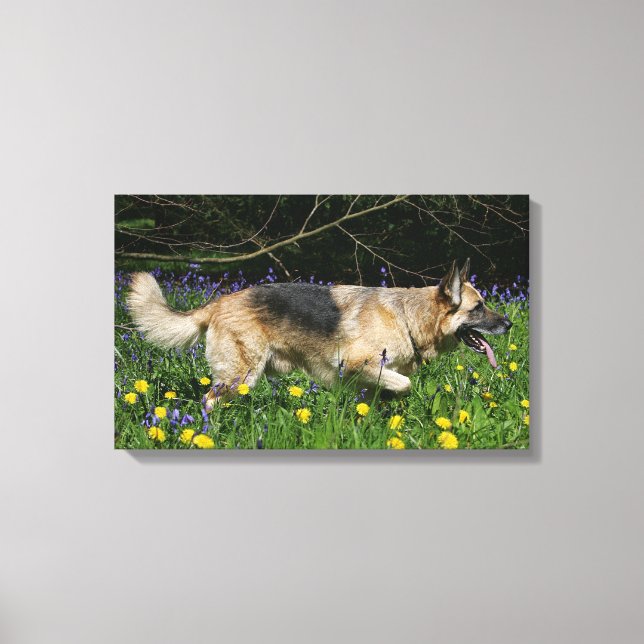 Impressão Em Tela German shepherd em Flores Amarelas (Frente)