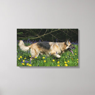 Impressão Em Tela German shepherd em Flores Amarelas