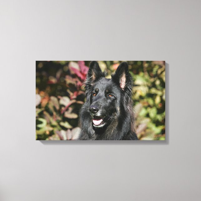 Impressão Em Tela German shepherd Preto Longo (Frente)