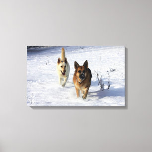 Impressão Em Tela German shepherd que funcionam na neve