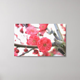 Impressão Em Tela germinação primavera cor-de-rosa com flor de ameix