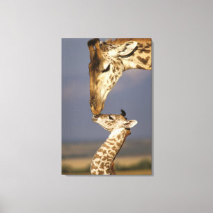 Impressão Em Tela Girafa Beijando Girafa Bebê