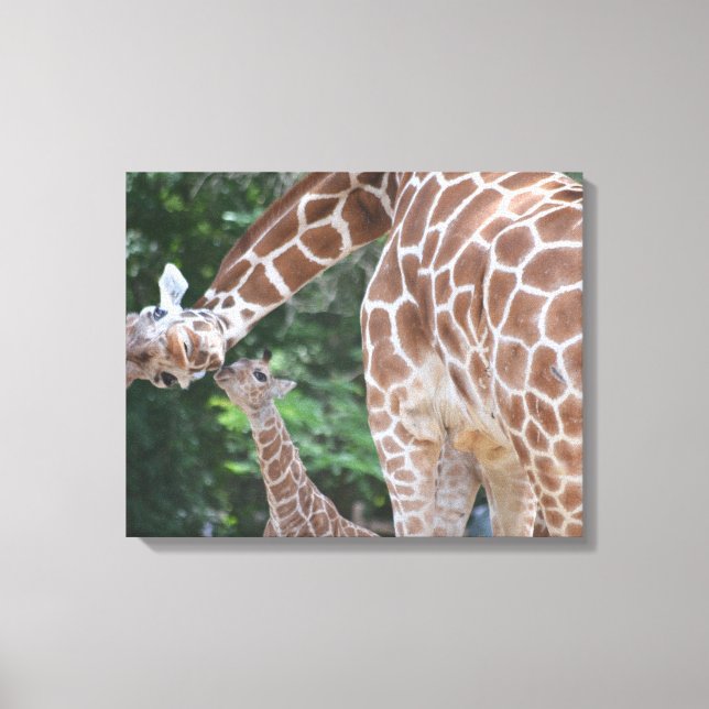 Impressão Em Tela Girafa, mãe e Poster bebê (Frente)