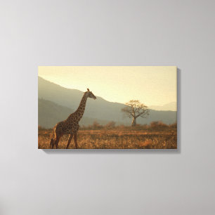 Impressão Em Tela Girafa na Savana