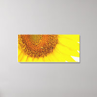 Girassóis E Telas De Abelhas