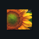 Impressão Em Tela Girassol<br><div class="desc">Feche um girassol no verão. Foto enviada por um leitor de Birds & Blooms. Birds & Blooms é a revista nº 1 de pássaros e jardins na América do Norte. Orgulhamo-nos em celebrar o cobrir da "beleza no seu próprio quintal" uma vasta gama de tópicos, tais como observação de pássaros,...</div>