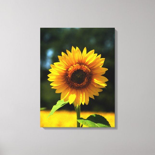 Impressão Em Tela Girassol (Frente)