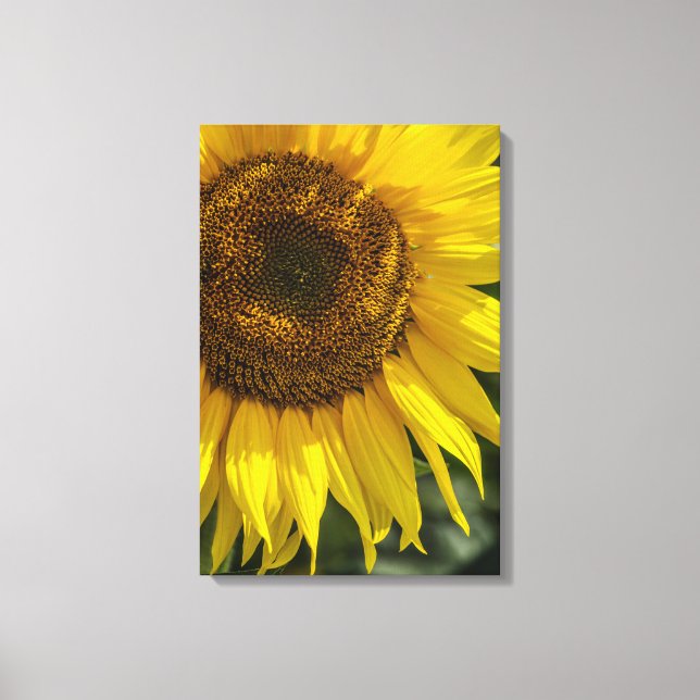 Impressão em Tela - Girassol Amarelo (Frente)