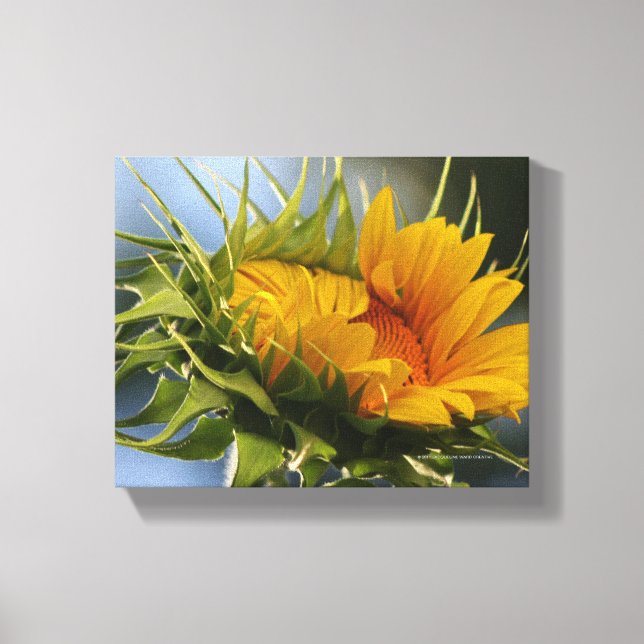 Impressão Em Tela Girassol emergente (Frente)