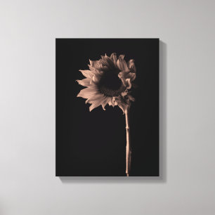 Impressão Em Tela Girassol - Fotografia de Belas Artes Sepia Legal Ú