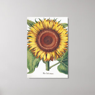 Impressão Em Tela Girassol Vintage Damask Flower Art
