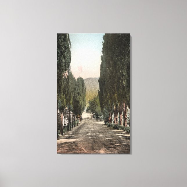 Impressão Em Tela Glenwood Primaveras, Colorado (Frente)